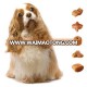 Manufacturer of Dry Dog Food