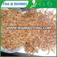 Leading manufacturer and exporter of dried mealworms wholesale bird food